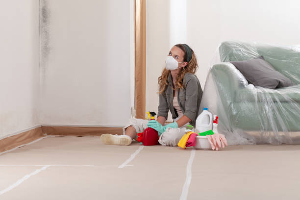Reliable Mold Remediation contractor in Ferndale, WA by Car Mold Remediation